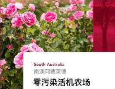 澳洲高端美妝品牌Jurlique茱莉蔻，成功入駐圣悅詩(shī)國(guó)際連鎖系統(tǒng)